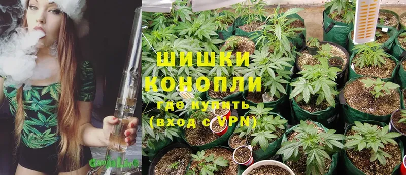 Бошки марихуана THC 21%  Нижняя Салда 